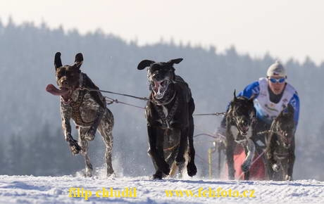 Tri studne 06 - 087.jpg